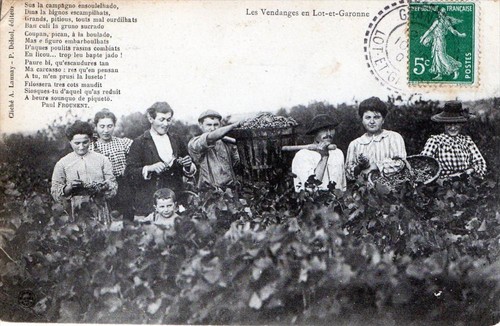 Cpa les vendanges - cpa,